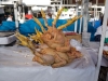 SA_blog-3