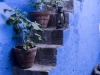SA_blog-6