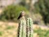 SA_blog-14