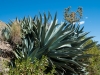 SA_blog-15