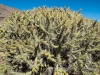 SA_blog-23