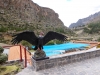 SA_blog-25