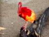 SA_blog-36