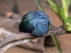 SA_blog-42
