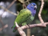 SA_blog-43