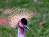 SA_blog-44