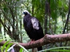 SA_blog-45