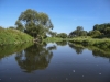 Osten-1050838