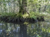 Osten-1050960