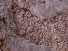 14651666950051