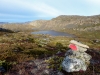 ACT_5-1020434.jpg
