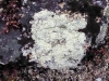 ACT_5-1020495.jpg