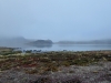 ACT_7-1020580.jpg