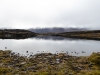 ACT_7-1020618.jpg
