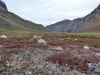 ACT_7-1020639.jpg