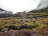 ACT_8-1020655.jpg