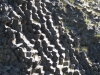 Ardeche-1000601.jpg