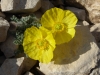 CotedAzur-1000750.jpg