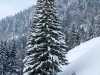 Skitouren_02_15-1050706.jpg