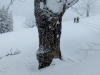 Skitouren_02_15-1050815.jpg