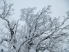 Skitouren_02_15-1050819.jpg