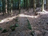 Goldsteig_29_09-1080274