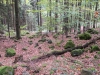 Goldsteig_30_09-9191