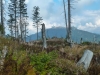 Goldsteig_02_10-1080377