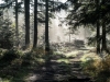 Goldsteig_02_10-9232