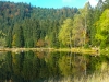 Goldsteig_03_10-1080393