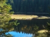 Goldsteig_03_10-1080425