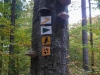 Goldsteig_05_10-1080427