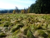 Goldsteig_06_10-1080458