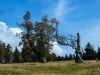 Goldsteig_06_10-1080480