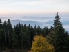 Goldsteig_06_10-9301