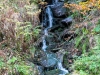 Goldsteig_06_10-9312