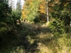 Goldsteig_06_10-9322