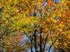 Goldsteig_07_10-9367