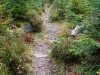 Goldsteig_08_10-9414