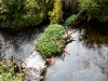 Goldsteig_08_10-9416