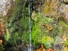 Goldsteig_08_10-9422