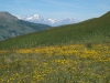 HautesProvence-0848.jpg