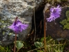 HautesProvence-1010169.jpg