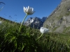 HautesAlpes-1010694.jpg