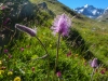 HautesAlpes-1010698.jpg