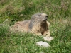 HautesAlpes-1113.jpg