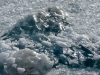 Ilulissat-1030313.jpg
