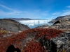 Ilulissat-1030434.jpg