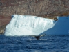 Ilulissat-1030484.jpg