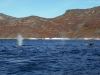 Ilulissat-1030494.jpg